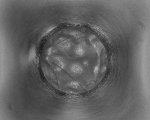 X0000116441302201001051157