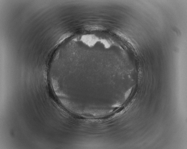 X0000116441305201001051157