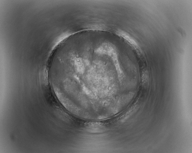 X0000116441310201001051157