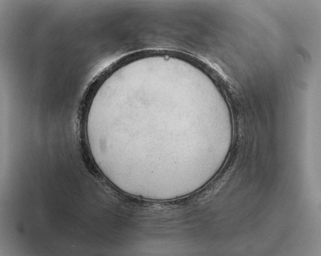 X0000116441311201001051157