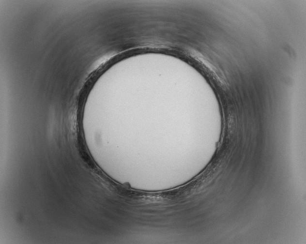 X0000116441315201001051157