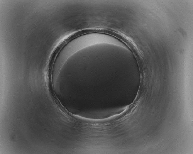 X0000116441319201001051157