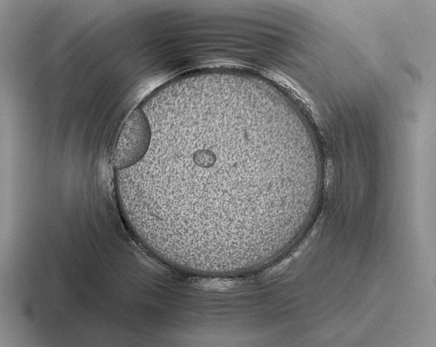 X0000116441321201001051157