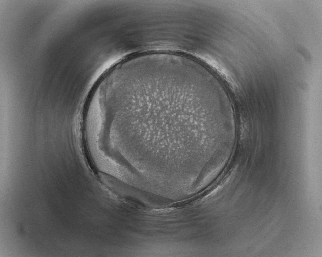 X0000116441325201001051157