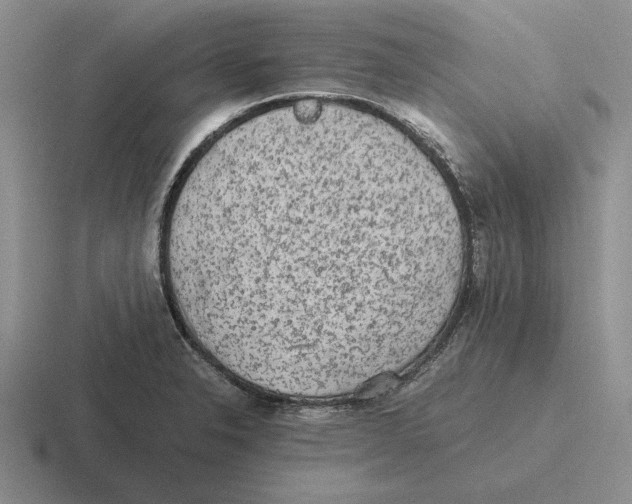 X0000116441326201001051157