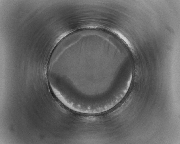 X0000116441329201001051157