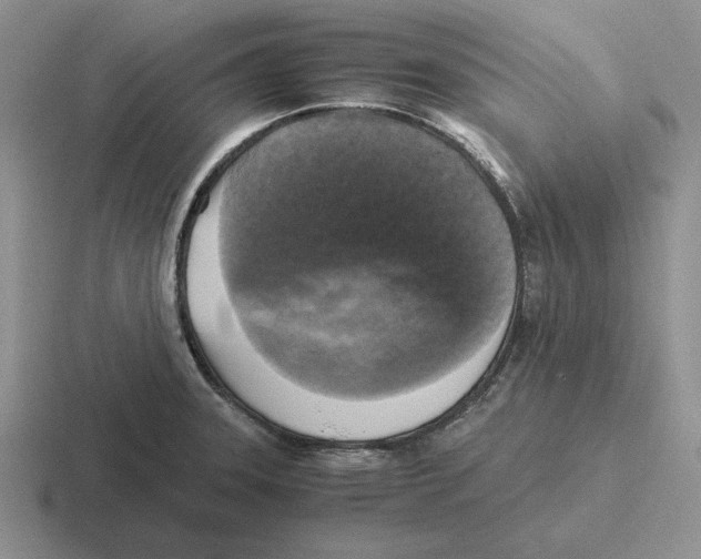 X0000116441331201001051157