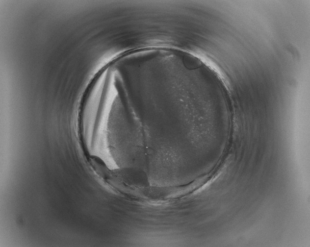 X0000116441333201001051157