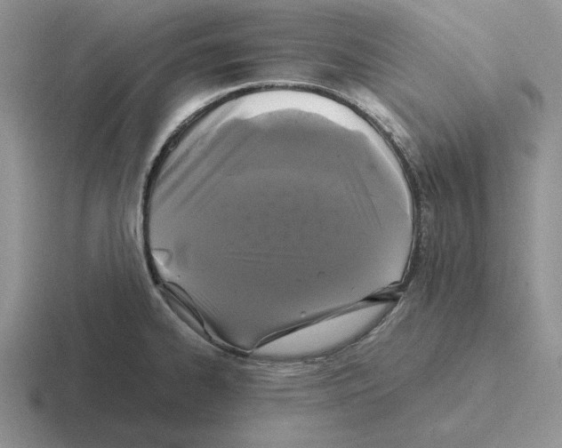 X0000116441334201001051157