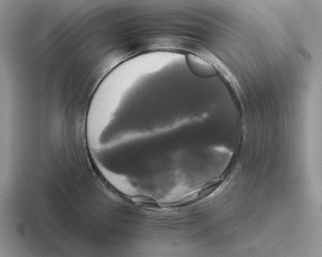 X0000116441337201001051157