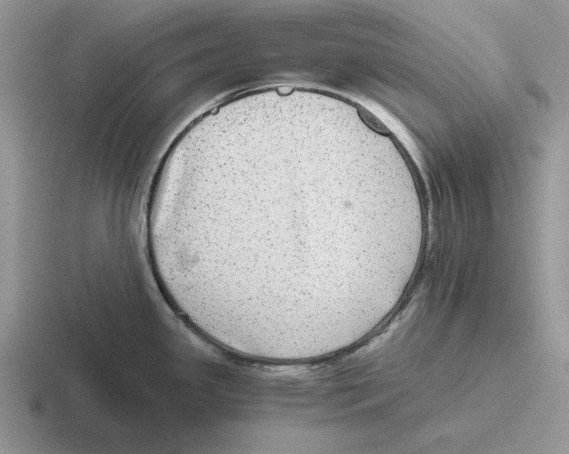 X0000116441341201001051157