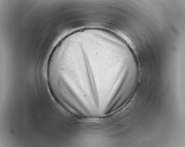 X0000116441342201001051157