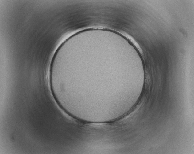 X0000116441343201001051157