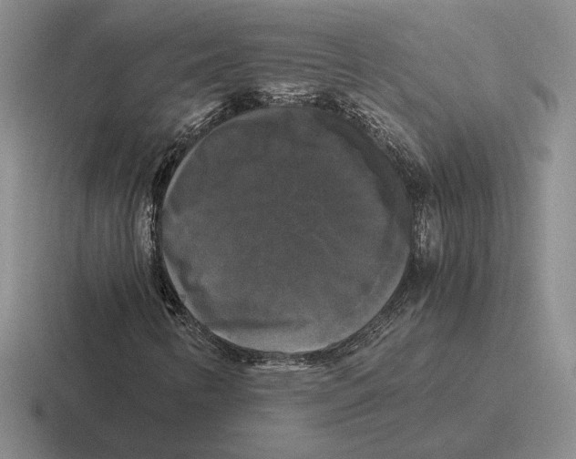 X0000116441346201001051157