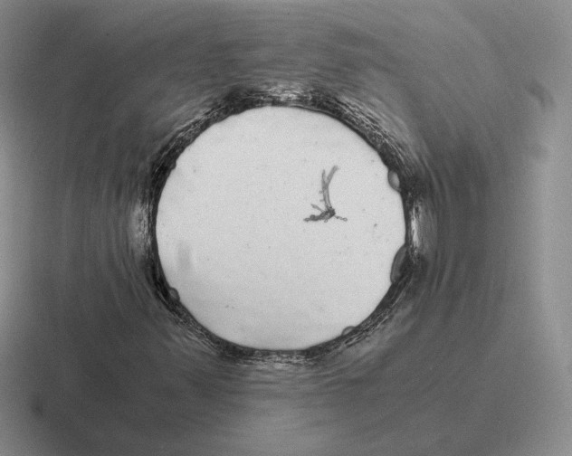 X0000116441347201001051157