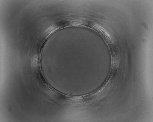 X0000116441353201001051157