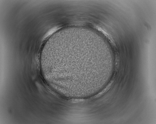 X0000116441354201001051157