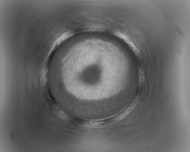 X0000116441357201001051157