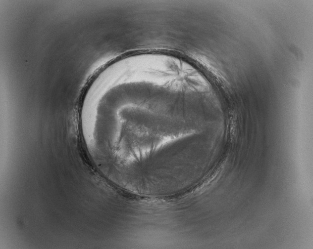 X0000116441358201001051157