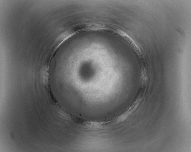 X0000116441361201001051156