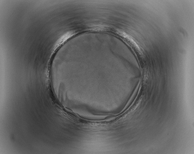 X0000116441362201001051156