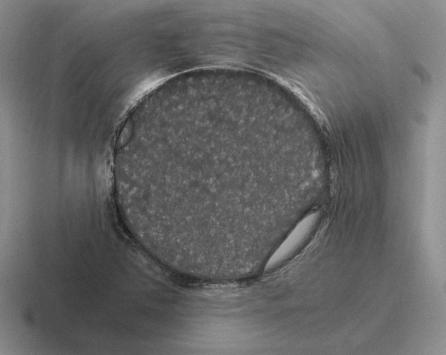 X0000116441363201001051156