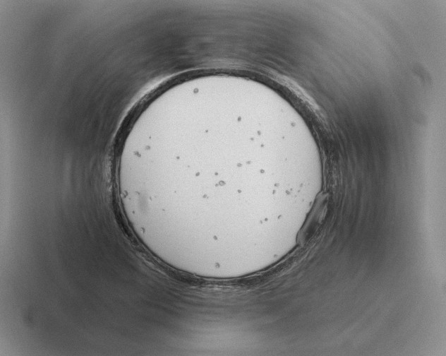 X0000116441364201001051156