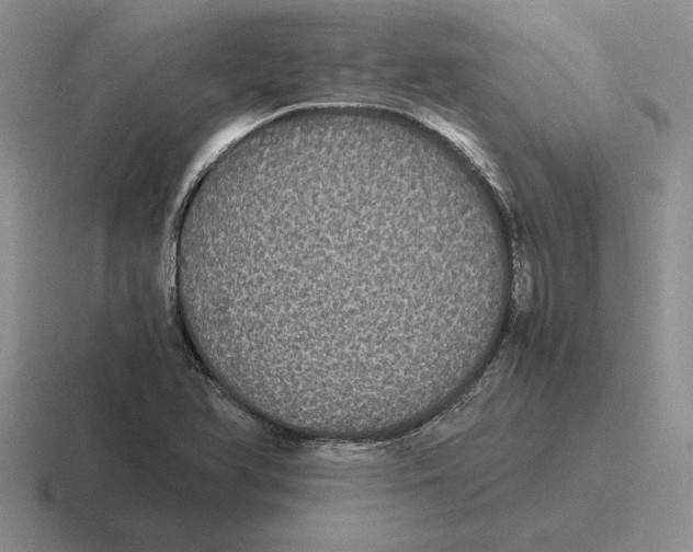 X0000116441366201001051156