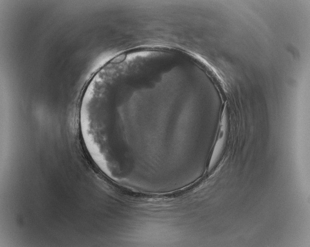 X0000116441367201001051156