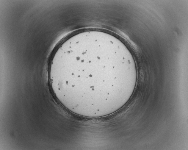 X0000116441368201001051156