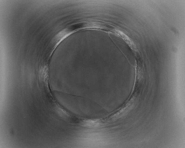 X0000116441369201001051156