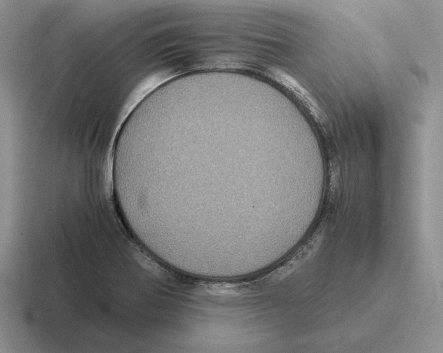 X0000116441370201001051156