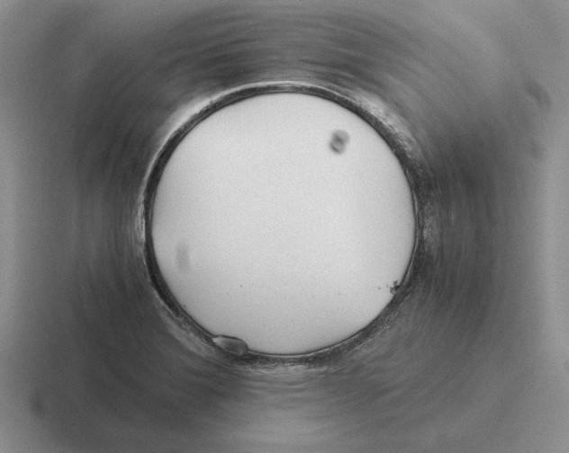 X0000116441372201001051156