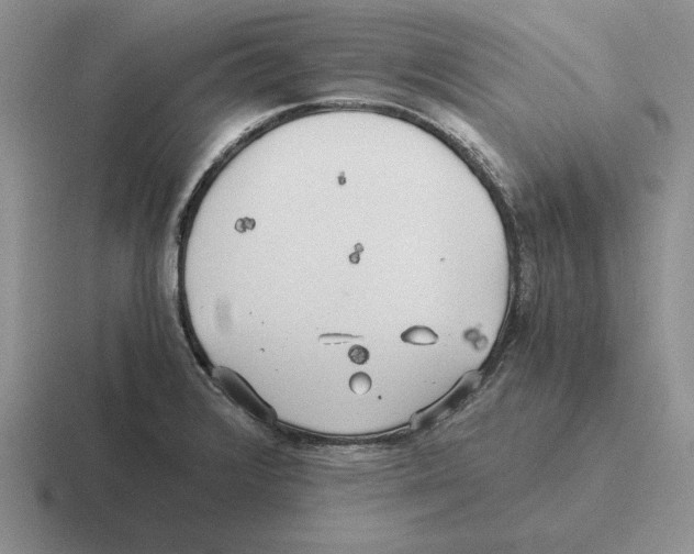 X0000116441376201001051156