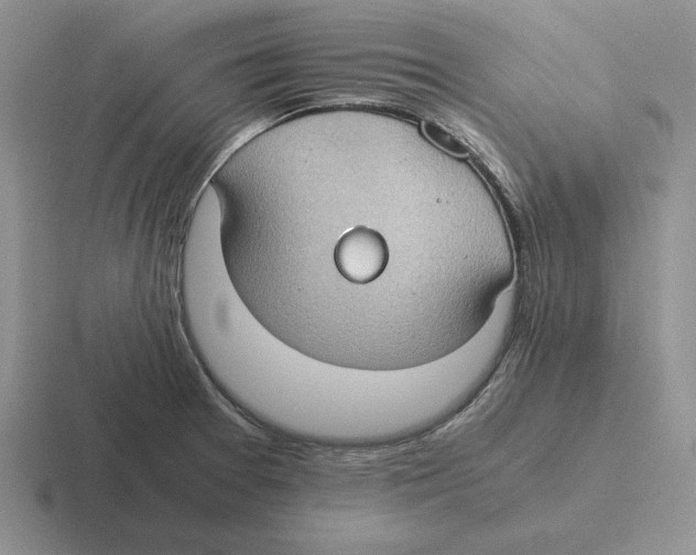 X0000116441377201001051156