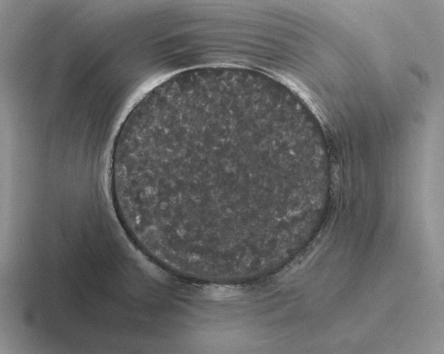 X0000116441379201001051156