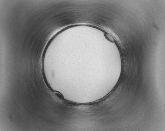 X0000116441380201001051156