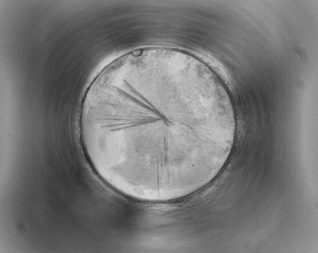 X0000116441382201001051156