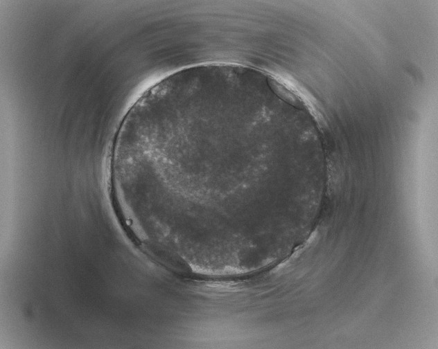 X0000116441383201001051156