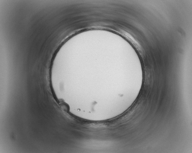 X0000116441384201001051156