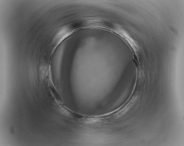 X0000116441385201001051156