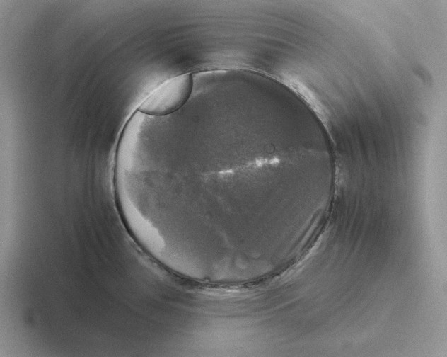 X0000116441386201001051156