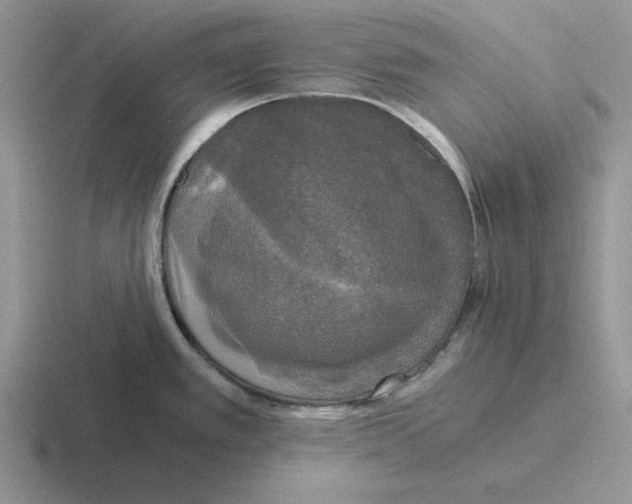 X0000116441389201001051156