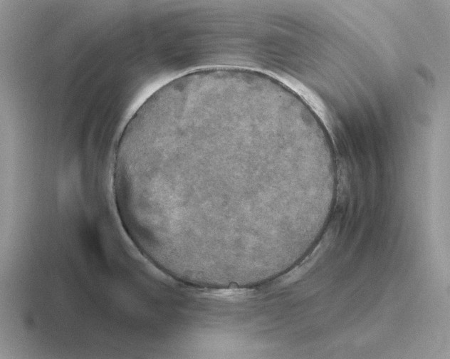 X0000116441390201001051156