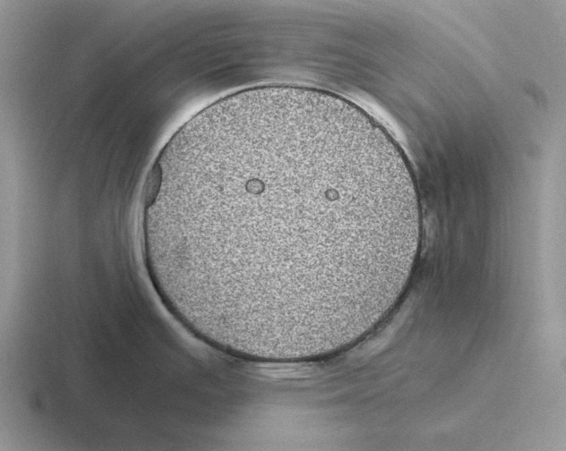 X0000116441391201001051156