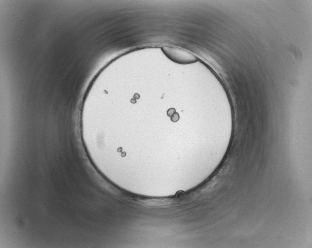 X0000116441392201001051156