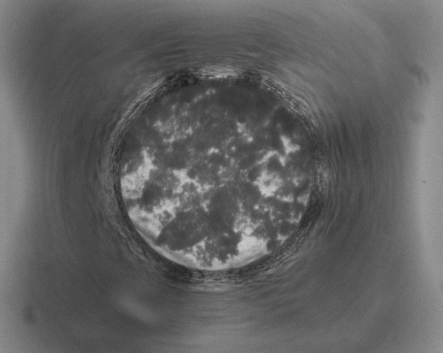 X0000116441393201001051156