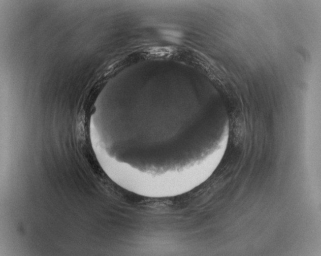 X0000116441394201001051156