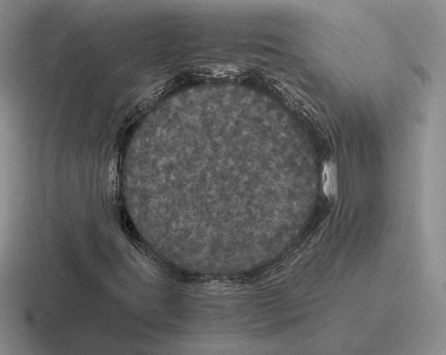 X0000116441395201001051156