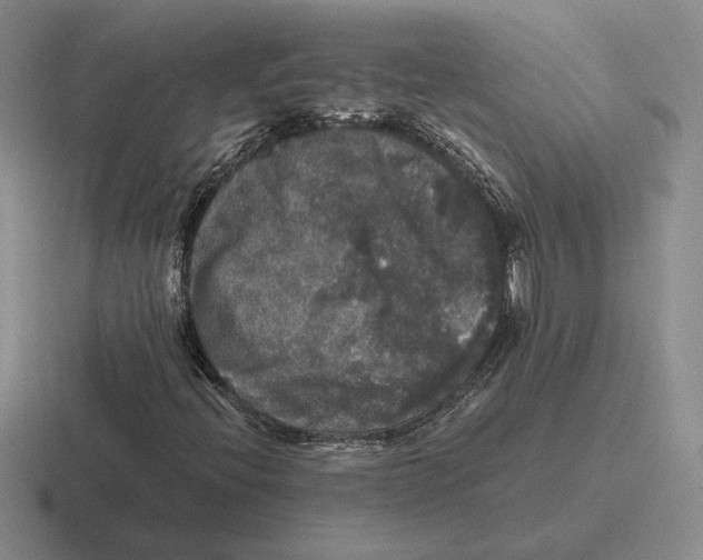 X0000116441396201001051156